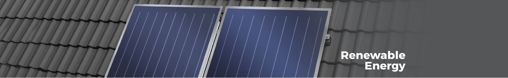 Renewable Energy Paignton